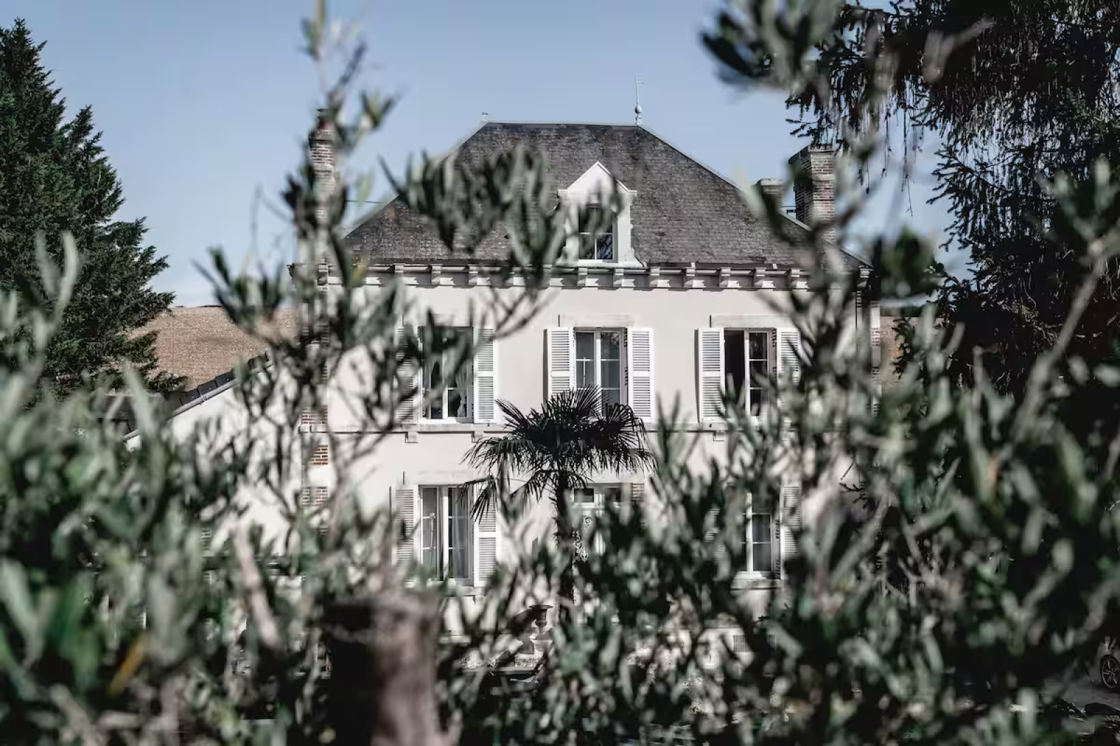 Image_1, Propriete, Auxerre, ref :319