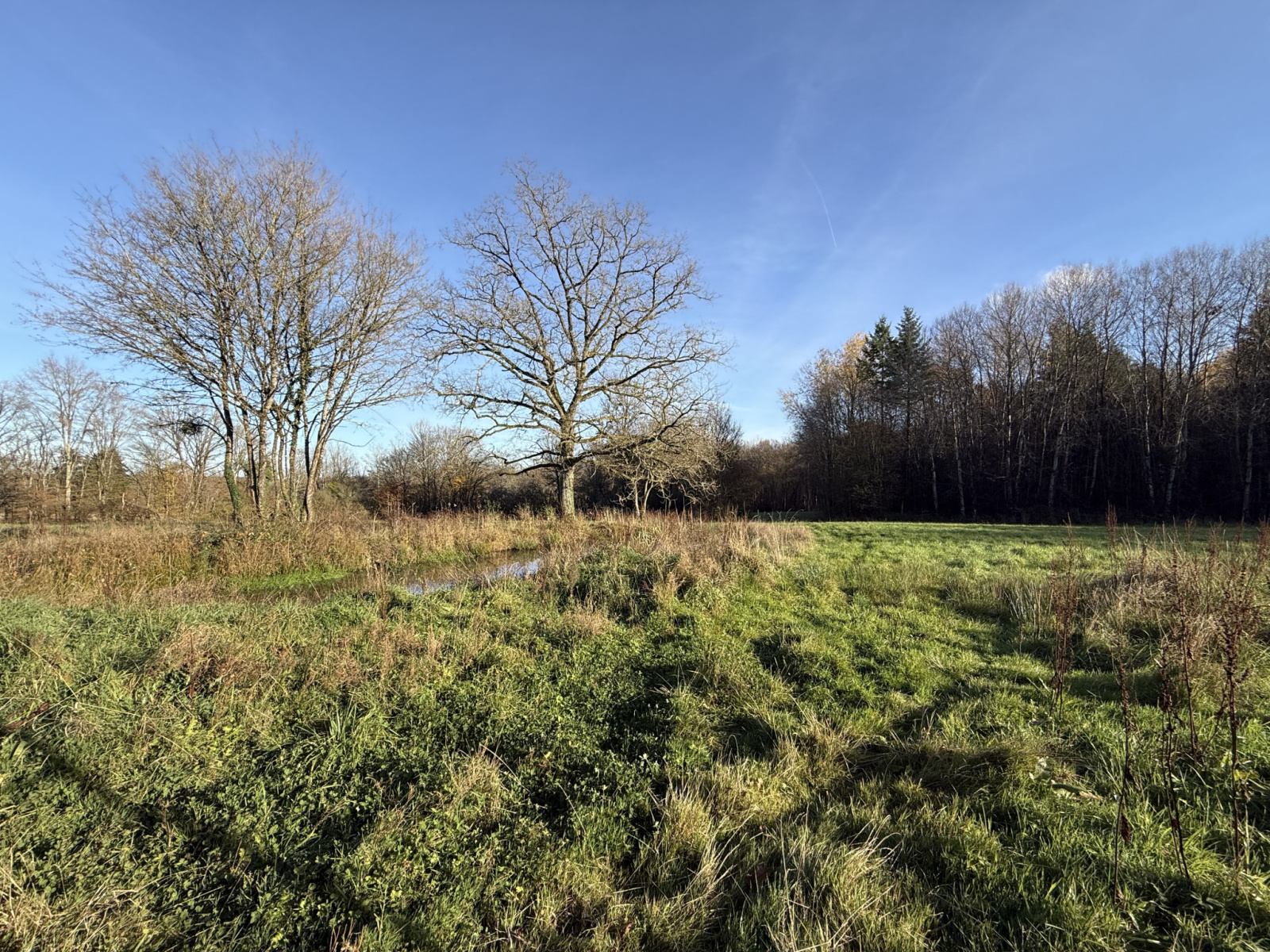 Image_2, Maison, Toucy, ref :345