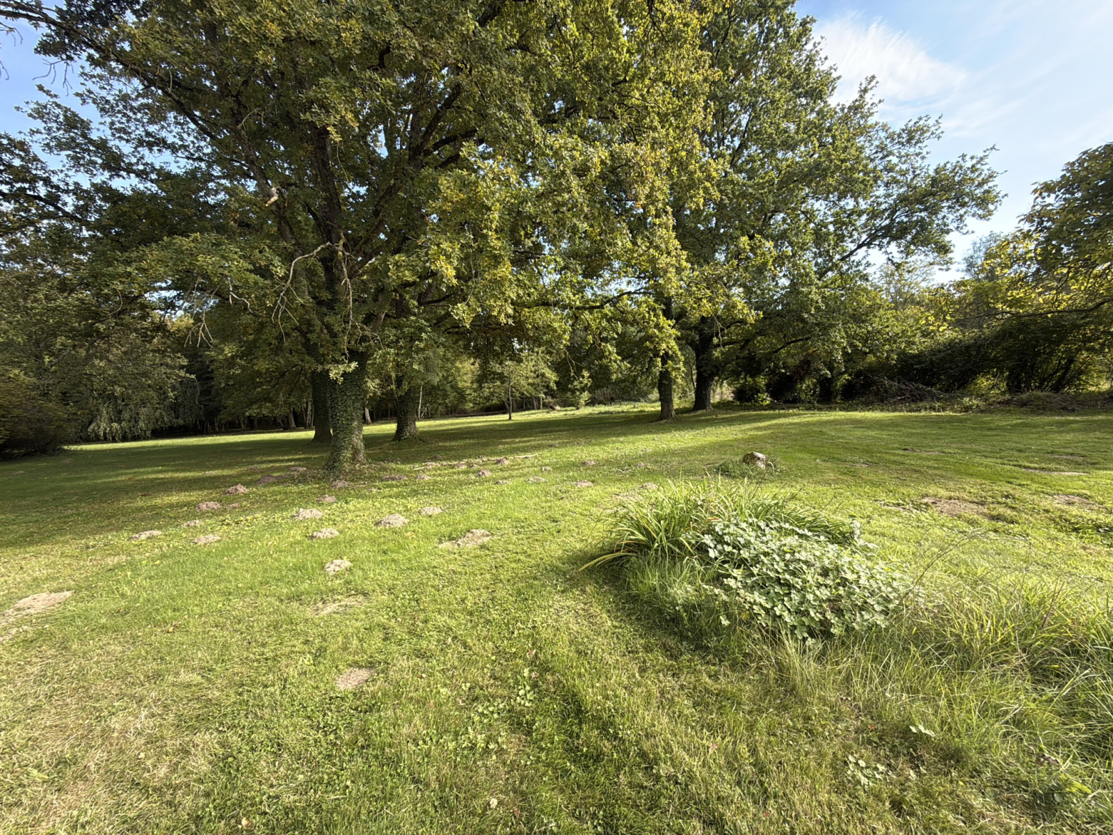 Image_3, Maison, Héry, ref :341