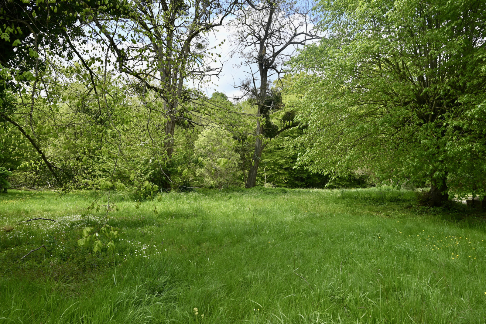 Image_3, Propriete, Héry, ref :268